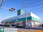マルエツ草加稲荷店 1122m