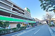 サミットストア川口エルザタワー店 1100m