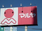 マルヤ 122m