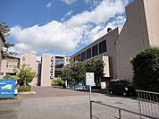 多摩大学 1000m