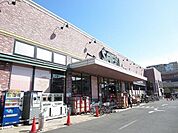 さえき是政食品館 徒歩3分。スーパー 230m