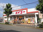 バイゴー 318m