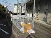 ★お部屋探しは株式会社タウンハウジング東京まで★