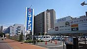 コーナン 1600m