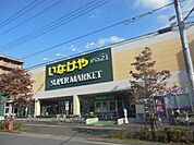いなげや 150m