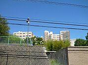帝京大学 1800m