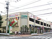 スーパーアルプス 850m