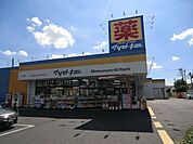 マツモトキヨシ松戸新田店 1000m
