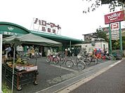 ハローマート馬橋店 500m