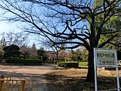 新松戸中央公園 945m