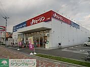 ジェーソン 徒歩4分。その他小売店 300m
