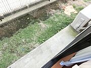 1階テラス