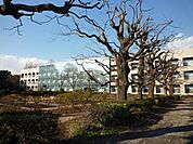 千葉大学 1000m