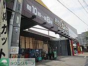 OlympicおうちDEPO府中店 徒歩15分。ホームセンター 1170m