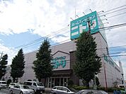 ニトリ 850m