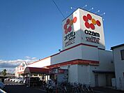 オザム 500m