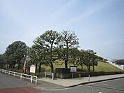神代植物公園 1994m