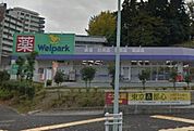 ウェルパーク八王子堀之内店 徒歩4分。ドラックストア 270m