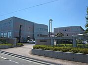 私立実践女子大学 1010m