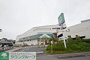 マルエツ東門前店 1007m