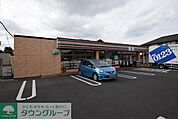 セブンイレブン東岩槻駅南店 徒歩4分。コンビニ 250m