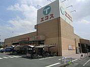 エコス 600m