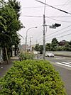 目の前の通り 1m