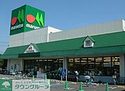 マルエツ目黒店 426m