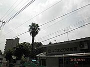 眺望(参考)