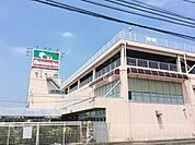 島忠ホームセンター 775m