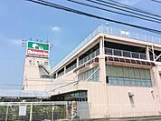 島忠ホームセンター 600m