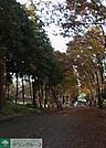 鶴間公園 徒歩16分。 1220m