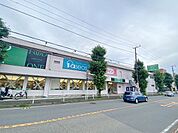 フードワン田奈店 480m