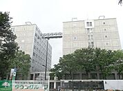 早稲田大学　理工学部 550m