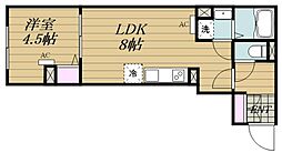 エルファーロ中野新井薬師IV 1LDKの間取図画像