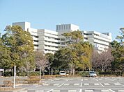 国立がん研究センター東病院 1800m