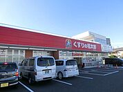 くすりの福太郎 781m