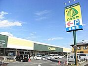 いなげや沼南店 440m