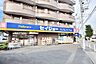 周辺：デイリーケアセイジョー国分寺並木店 徒歩13分。ドラックストア 970m