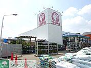 コメリハード＆グリーン保谷北町店 861m