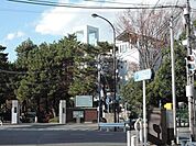 私立武蔵野大学 1000m