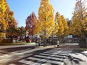 三鷹駅ロータリー 600m