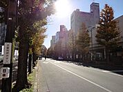 商店街 560m