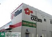 スーパーオザム 徒歩10分。その他 770m