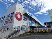 ホームセンターコーナン港北ニュータウン店 2010m