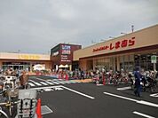 ファッションセンターしまむら登戸店 786m