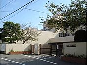東海岸小学校 591m