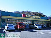 Fit　Care　MART鎌倉今泉店 徒歩4分。ドラックストア 260m