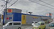 マツモトキヨシ茅ヶ崎小和田店 1220m