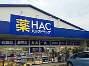 ハックドラッグ辻堂店 457m